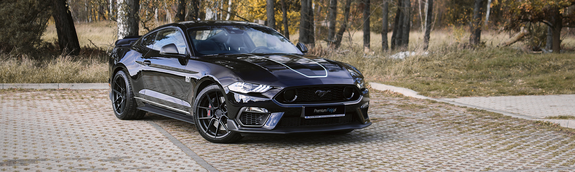 Realizacje - PremiumFelgi.pl Ford Mustang GT 5.0 | Ferrada F8-FR8 - PremiumFelgi